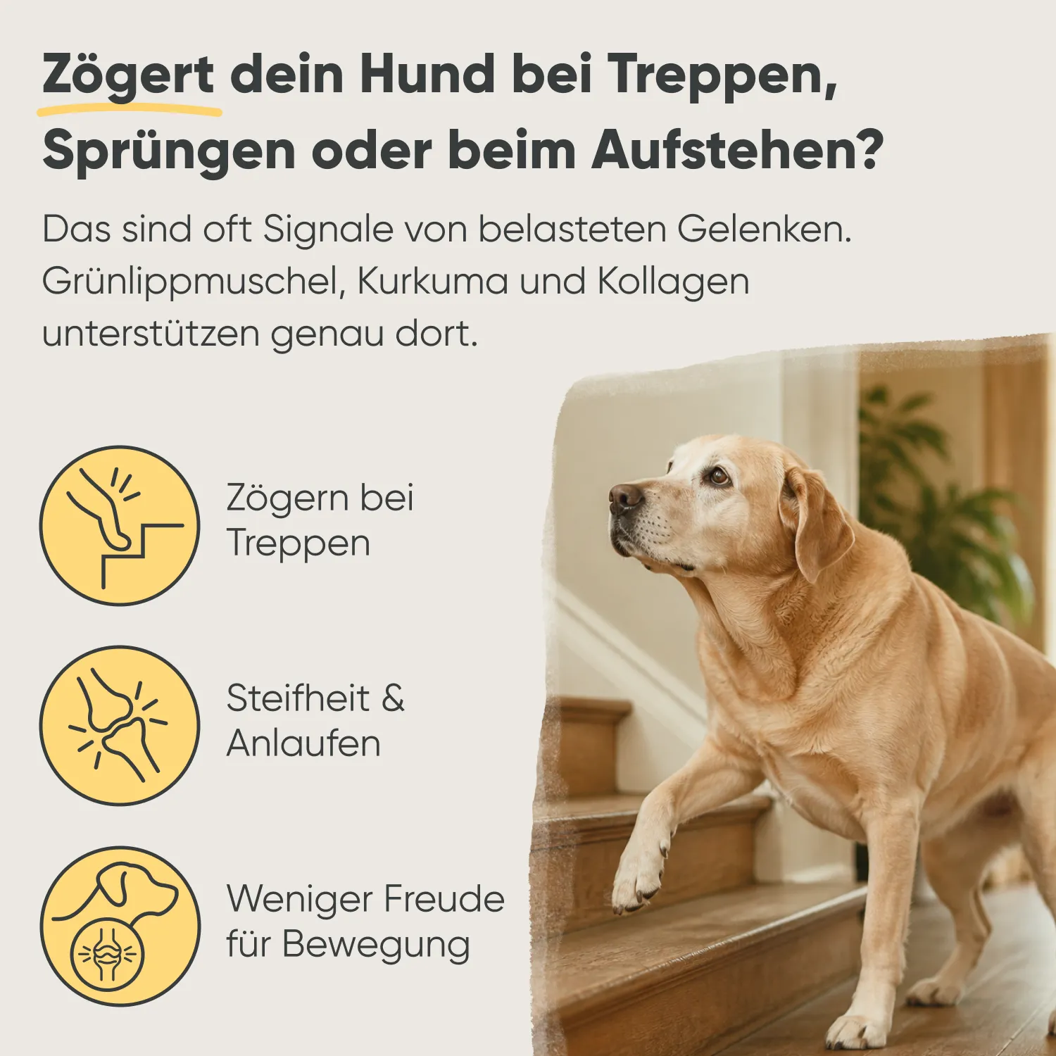 Milo & Mia Flex Bites — Bild 2