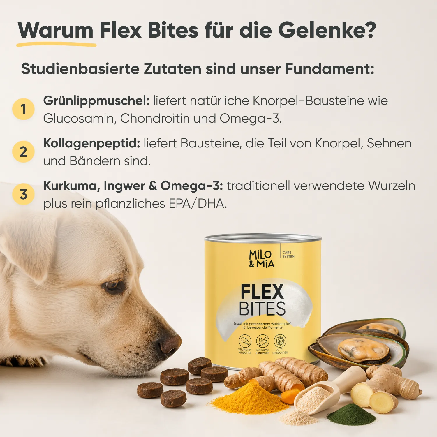 Milo & Mia Flex Bites — Bild 3