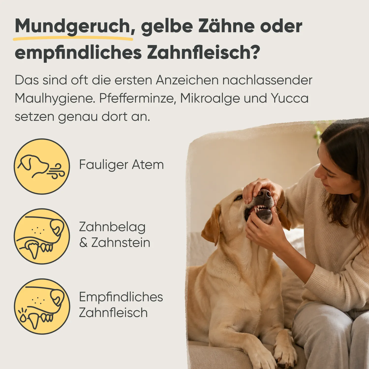 Milo & Mia Brush Bites — Bild 2