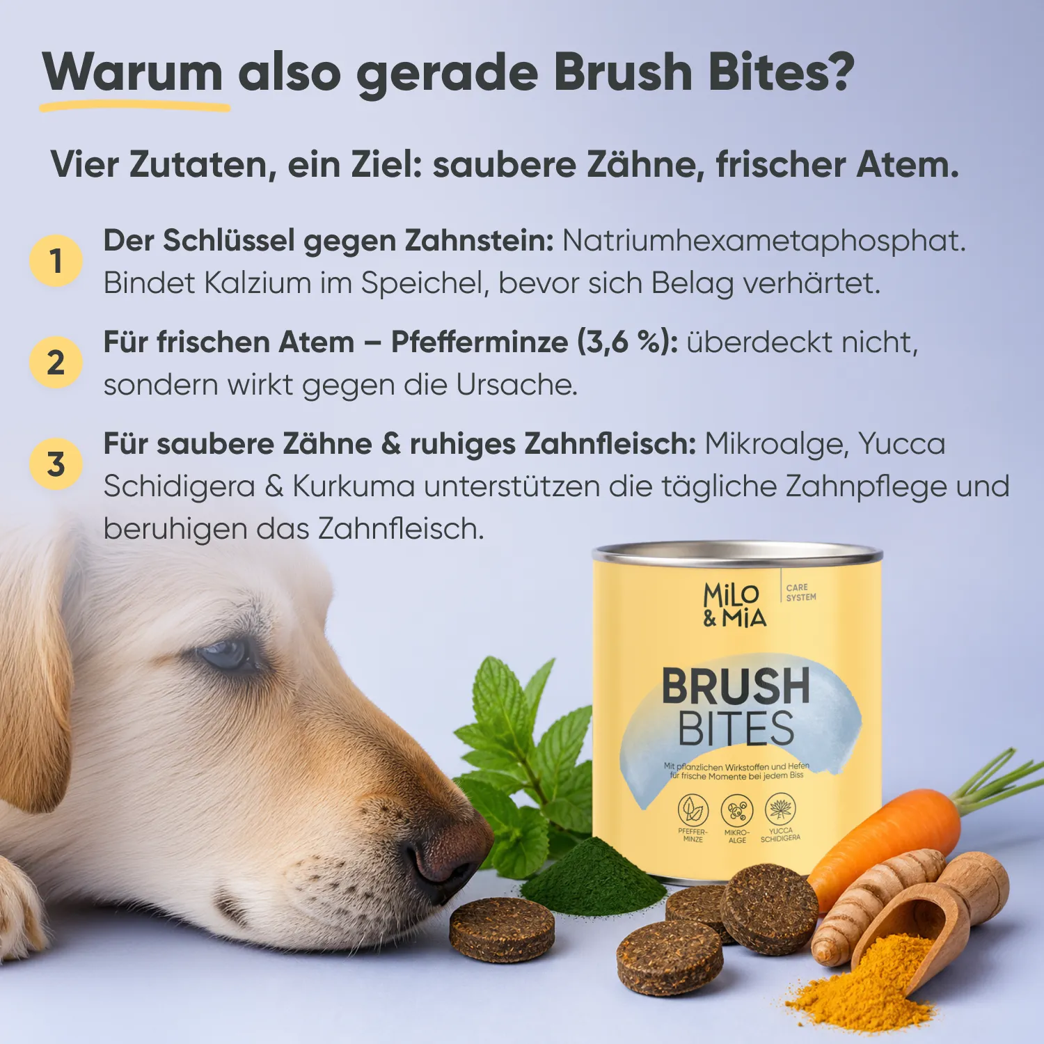 Milo & Mia Brush Bites — Bild 3
