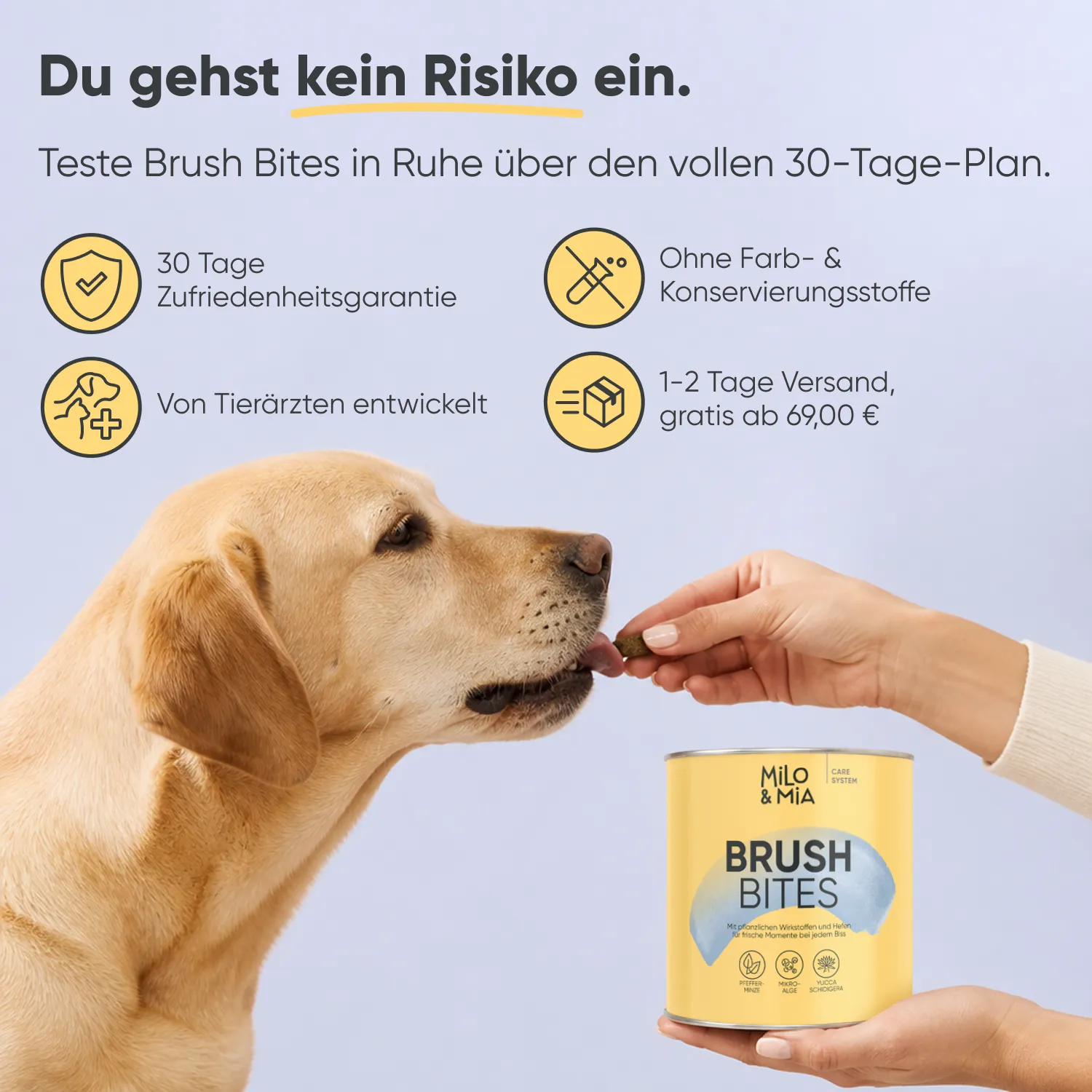 Milo & Mia Brush Bites — Bild 8